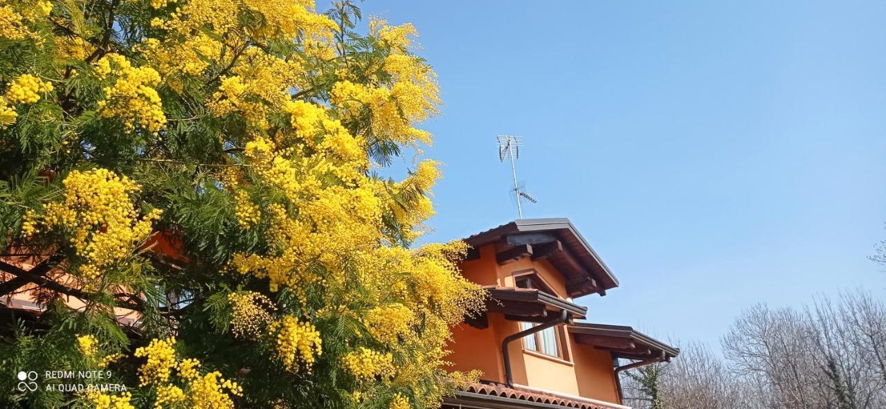 Apartamento I salici Candia Canavese Exterior foto